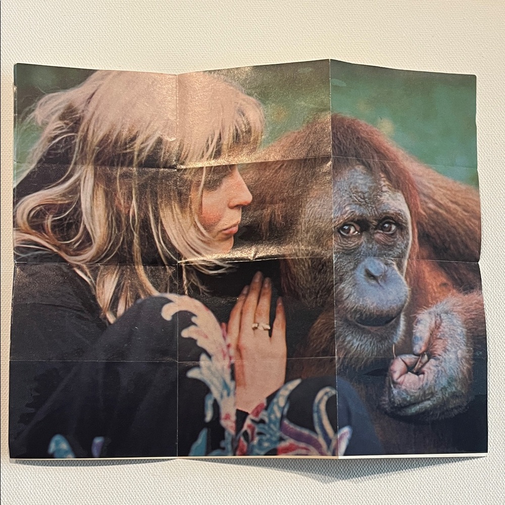 1981 Fleer Tarzan the Ape Man - Bo Derek & Miles O’Keefe Posters #2-3-5-6-7-8-9